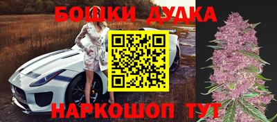 бошки Сланцы