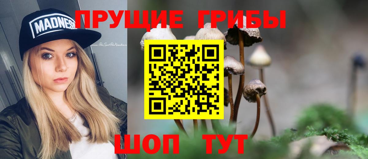 Псилоцибиновые грибы мухоморы  Псилоцибиновые грибы мухоморы  Прохладный  Вход с VPN 
